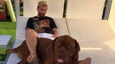 Messi subió la foto con su perro a Facebook. Messi subió la foto con su perro a Facebook.