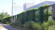Paredón. Ventanas y vegetación se incorporaron tras violar el Código Urbano. El sector está vigilado e iluminado. Paredón. Ventanas y vegetación se incorporaron tras violar el Código Urbano. El sector está vigilado e iluminado.