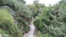 La belleza natural que rodea al arroyo La Santiagueña. Foto UNO Juan Ignacio Pereira. La belleza natural que rodea al arroyo La Santiagueña. Foto UNO Juan Ignacio Pereira.