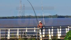 Algo trae. Como cada tarde, varios pescadores intentaban ayer sacar algo desde la Costanera. Algo trae. Como cada tarde, varios pescadores intentaban ayer sacar algo desde la Costanera.