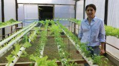 una paranaense lleva adelante un vivero en donde cultiva plantas sin suelo una paranaense lleva adelante un vivero en donde cultiva plantas sin suelo