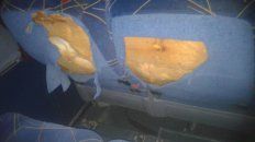 codta reclamo por el vandalismo que sufrieron dos de sus unidades codta reclamo por el vandalismo que sufrieron dos de sus unidades