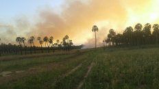 se quemaron 150 hectareas en el parque nacional el palmar se quemaron 150 hectareas en el parque nacional el palmar