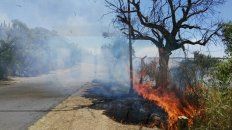 un incendio de grandes proporciones se desato en la zona de la exfabrica de cemento un incendio de grandes proporciones se desato en la zona de la exfabrica de cemento