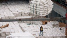 tres nuevos embarques de arroz y de madera desde el puerto de concepcion tres nuevos embarques de arroz y de madera desde el puerto de concepcion