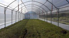 El interior de El Aromito. El interior de El Aromito.