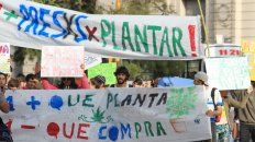 Uno más que planta es uno menos que compra, dice en la bandera en una marcha de 2016. Uno más que planta es uno menos que compra, dice en la bandera en una marcha de 2016.