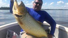 El pescador devolvió el dorado al río en Concordia. El pescador devolvió el dorado al río en Concordia.