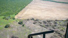 en los ultimos 10 anos, entre rios perdio unas 135.000 hectareas por deforestacion en los ultimos 10 anos, entre rios perdio unas 135.000 hectareas por deforestacion