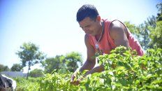 Talleres. Con distintas propuestas, logran aprender un oficio para poder ganarse el pan de cada día. Talleres. Con distintas propuestas, logran aprender un oficio para poder ganarse el pan de cada día.