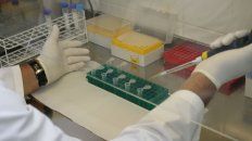 Achique. Se deshizo el Plan Argentina Innovadora que buscaba dar mayor protagonismo a la ciencia en el país. Achique. Se deshizo el Plan Argentina Innovadora que buscaba dar mayor protagonismo a la ciencia en el país.