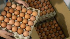 Huevos. Las claras de huevo (las verdaderas) han sido durante mucho tiempo fuente de proteínas. Huevos. Las claras de huevo (las verdaderas) han sido durante mucho tiempo fuente de proteínas.