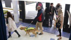 perros guia para ciegos, una herramienta que cobra cada vez mas valor perros guia para ciegos, una herramienta que cobra cada vez mas valor