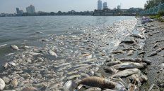 calentamiento global reducira fauna marina calentamiento global reducira fauna marina
