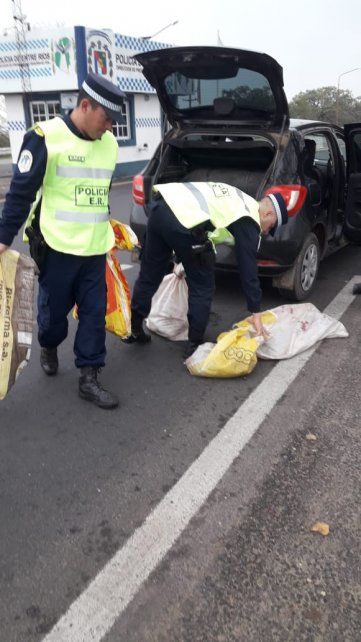 El auto lleno de carpinchos y nutrias carneadas