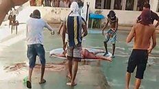 Los cuerpos de las víctimas aparecían esparcidos por el patio del penal. Los cuerpos de las víctimas aparecían esparcidos por el patio del penal.