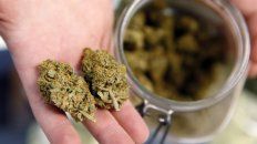 ee.uu: se duplica el uso de marihuana en el embarazo ee.uu: se duplica el uso de marihuana en el embarazo