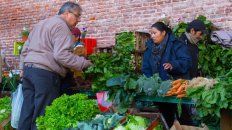 la verdecita en el mercado progreso la verdecita en el mercado progreso
