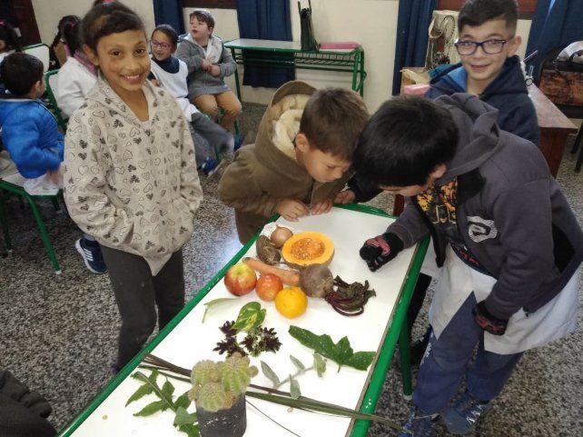 Los chicos aprenden en las escuelas cómo incorporar hábitos saludables