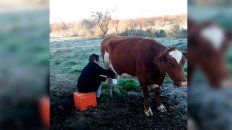 de fierro: la helada no freno a esta entrerriana de 83 anos de fierro: la helada no freno a esta entrerriana de 83 anos