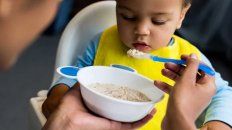 la oms contra el azucar en los alimentos para bebes la oms contra el azucar en los alimentos para bebes