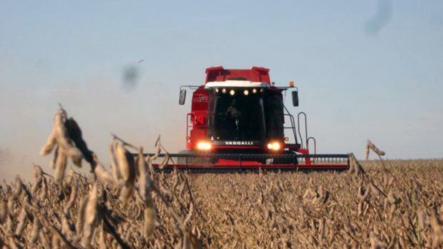 Preocupa la falta de lluvias y el impacto que acarreará a la economía provincial.