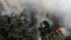 el amazonas, pulmon del planeta, lleva 16 dias en llamas el amazonas, pulmon del planeta, lleva 16 dias en llamas