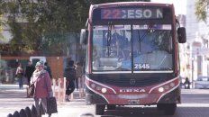 habemus colectivos habemus colectivos