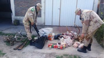 hallan armas, carnes, cuero y cornamentas de animales silvestres producto de la caza furtiva hallan armas, carnes, cuero y cornamentas de animales silvestres producto de la caza furtiva