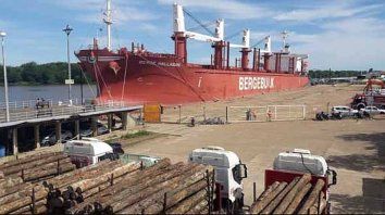 nuevos ingresos al puerto de concepcion nuevos ingresos al puerto de concepcion