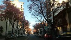 el pronostico para recibir la primavera el pronostico para recibir la primavera