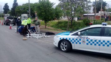 quisieron ingresar 20 millones de pesos en marihuana a entre rios quisieron ingresar 20 millones de pesos en marihuana a entre rios