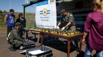 Sorprendidas. Las mujeres llevaban la droga en un colectivo a pedido de un hombre de Buenos Aires y los gendarmes las descubrieron. Sorprendidas. Las mujeres llevaban la droga en un colectivo a pedido de un hombre de Buenos Aires y los gendarmes las descubrieron.