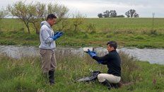 estudiaran presencia del roedor vector del hantavirus en ibicuy estudiaran presencia del roedor vector del hantavirus en ibicuy