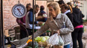 verduras frescas en el mercado progreso verduras frescas en el mercado progreso