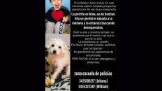 se perdio perrita de un nino operado del corazon y su familia pide ayuda se perdio perrita de un nino operado del corazon y su familia pide ayuda