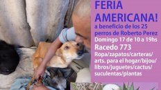 el domingo nueva feria americana por la perrita chocada el domingo nueva feria americana por la perrita chocada