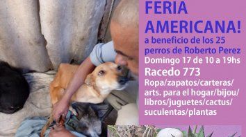 el domingo nueva feria americana por la perrita chocada el domingo nueva feria americana por la perrita chocada