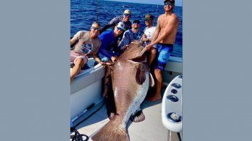 pescaron un pez de casi 160 kilos y resulto ser especie amenazada pescaron un pez de casi 160 kilos y resulto ser especie amenazada