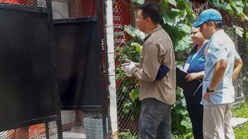 dengue: a los casos de parana, confirman mas en gualeguaychu dengue: a los casos de parana, confirman mas en gualeguaychu