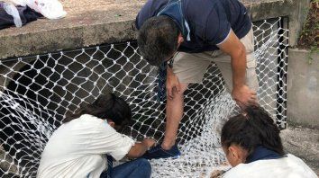 construyen contencion de basura en arroyos construyen contencion de basura en arroyos
