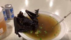 la sopa de murcielago a la que relacionan con el brote de coronavirus la sopa de murcielago a la que relacionan con el brote de coronavirus
