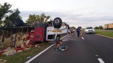 volco un camion cargado con pollos en la ruta 12 volco un camion cargado con pollos en la ruta 12