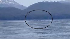 ¿nahuelito? registran extrana figura en el nahuel huapi ¿nahuelito? registran extrana figura en el nahuel huapi