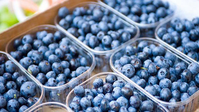 La producción de arándanos es clave no solo para Concordia, sino para la toda la economía provincial. La intención es reducir daños ante la pandemia. 