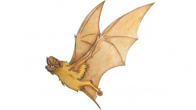 Orejandro. Es el nombre de esta mascota de Francisco Cuadrelli.