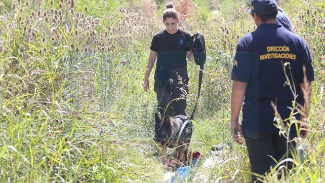 Los rastrillajes en busca de Fátima se llevan adelante en una zona de frondosa vegetación.