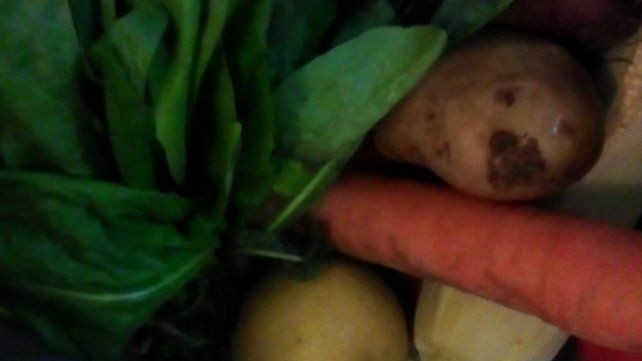 A las hojas verdes hay que lavarlas, secarlas, envolverlas en papel y guardarlas en una bolsa.