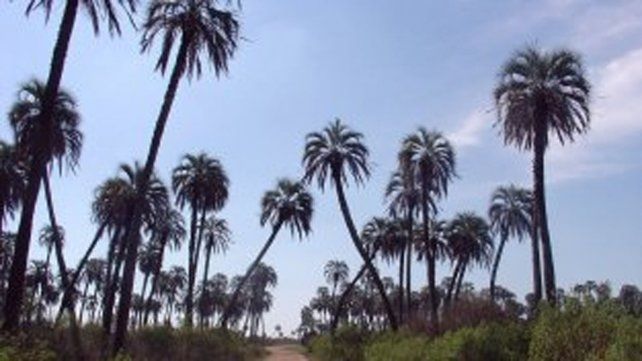 Cuando vuelva a abrir será más cara la entrada a El Palmar 