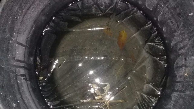 Fotos tomadas en la zona del paraje La Balsa de Villa Urquiza